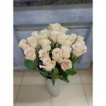 Роза  белая