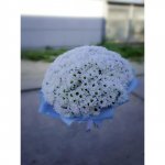 Весенний рассвет