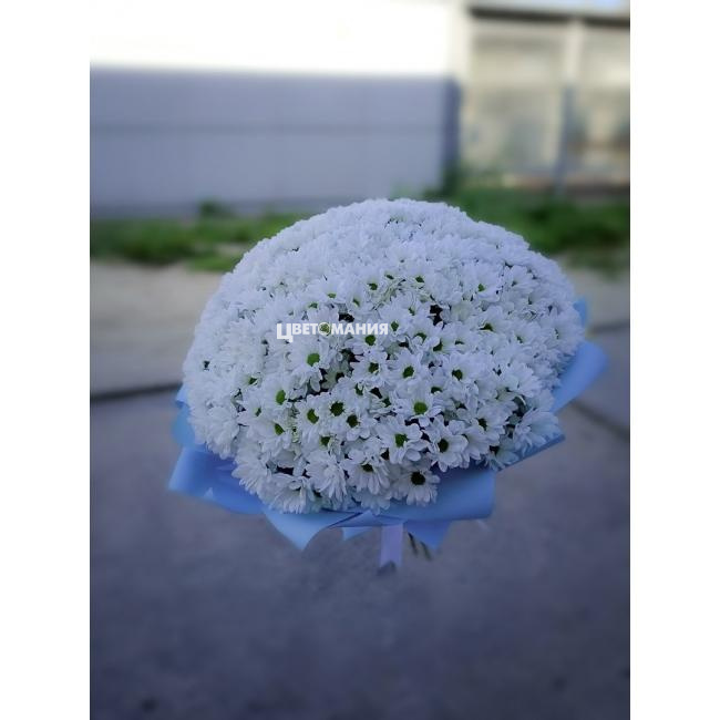 Весенний рассвет