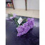 Лиловая нежность
