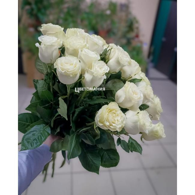 Белое облако