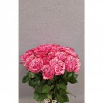 25 розовых роз