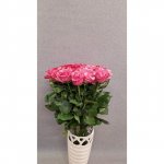 25 розовых роз