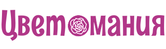 «Цветомания» - интернет-магазин цветов в Ярославле